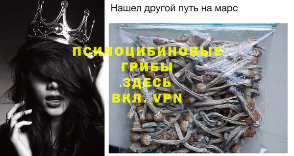 сатива Алексеевка