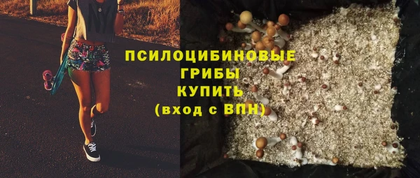 ешки Абаза
