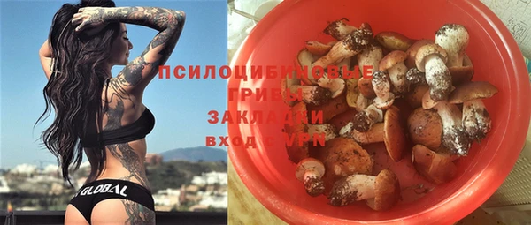 ешки Абаза