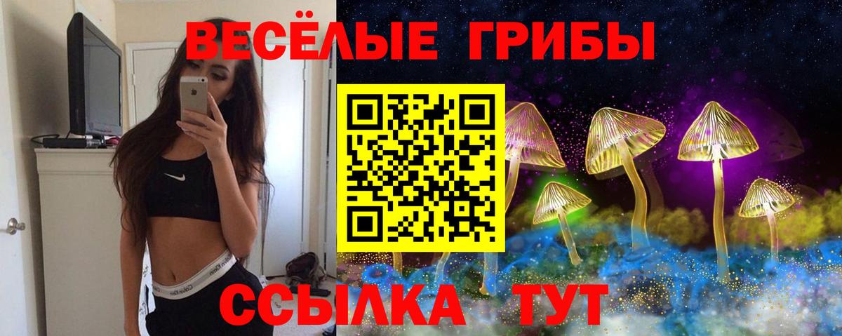 Галлюциногенные грибы GOLDEN TEACHER  цены наркотик  Татарск  Вход с VPN 